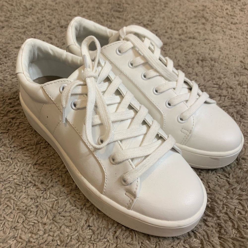 Steve madden sneakers
